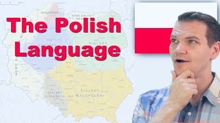 The Polish Language Is this real [upl. by Hufnagel]