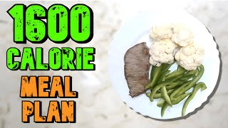 HIGH Protein 1600 Calorie Meal Plan For Weight Loss [upl. by Arihas]