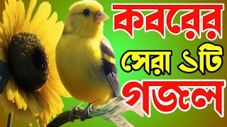 খুবই দুঃখের মরমী কণ্ঠে কবরের সেরার সেরা ১টি গজলbest emotionalকবর যেদিন ডাকবে আমায় সকাল সন্ধা বেলা [upl. by Aisyram]