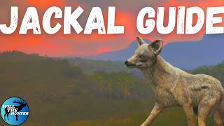 Vurhonga Savanna Side Striped Jackal Zone Guide TheHunter Call Of The Wild 2023 [upl. by Dinsdale643]