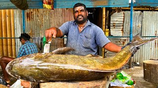 KASIMEDU 🔥 MR GOVINDH  41 KG GIANT BROWN COBIA FISH CUTTTING  IN KASIMEDU  HD VIDEO FF CUTTTING [upl. by Briny]