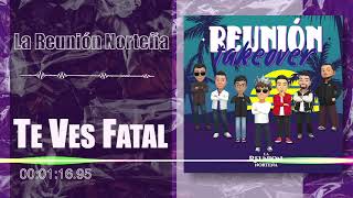 La Reunión Norteña  Te Ves Fatal  Reunion Takeover Audio [upl. by Lindo]