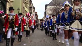 Rosenmontagsumzug in Koblenz 2014 [upl. by Formica]