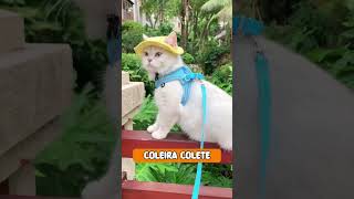 COLEIRA COLETE PARA GATOS [upl. by Millur]