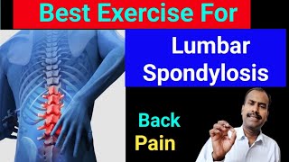 Best Exercise For Lumbar Spondylosis । Back pain Relief Exercise । Backpain painhealeravijit [upl. by Omora]