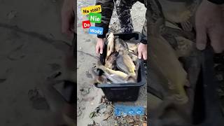 Karpiowe El Dorado  Карп Эльдорадо carpfishing carp карп fish рыбалка fishing love travel [upl. by Silsbye]