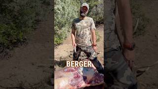 Berger Performance on BIG BULL ELK Shorts elk elkHunting [upl. by Stefanie]