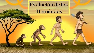 Evolución de los homínidos Un recorrido por el tiempo [upl. by Ebberta65]