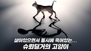 고양이가 살아있으면서 죽어있는 게 양자역학에선 가능하다고 슈뢰딩거의 고양이 [upl. by Dinny]