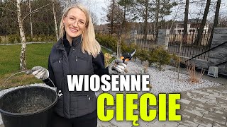 WIOSENNE CIĘCIE W OGRODZIE Przycinanie hortensji trawy ozdobnej trzmieliny i wierzby [upl. by Vories]