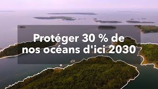 Protéger 30  de nos océans dici 2030 [upl. by Mathilde256]