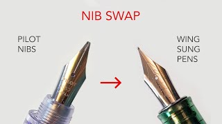 Cheap FrankenPen Thrills Pilot Nibs In Wing Sung Pens [upl. by Dowd]