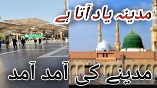 Madina yaad aata hai waqar azam qadrinaat mdina mashallah [upl. by Naloj]