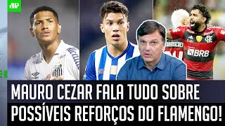 quotO Uribe e o Ângelo são JOGADORES quequot Mauro Cezar FALA TUDO sobre possíveis REFORÇOS do Flamengo [upl. by Aibonez]