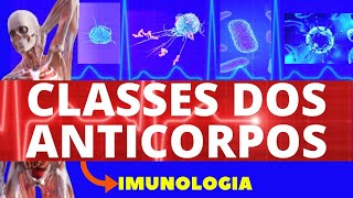 CLASSE DOS ANTICORPOS TIPOS OU ISOTIPOS DE ANTICORPOS  FUNÃ‡Ã•ES DOS ANTICORPOS  IMUNOLOGIA [upl. by Roseline71]