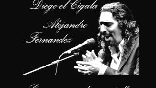 Diego el Cigala amp Alejandro Fernandez Como quien pierde una estrella [upl. by Atineb]