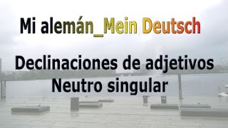 Mi alemán Mein Deutsch Declinaciones de adjetivos neutro singular [upl. by Weber606]