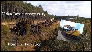 Vidéo Découverte  Travaux Forestier Dessouchage  1  12 [upl. by Stoughton]