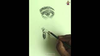 Learn how to draw front and side eye  Art Lesson drawing art shorts sketch [upl. by Hgielrac]