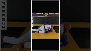 Jiu Jitsu  Posição  Professor Marcelo Galdino [upl. by Earb885]