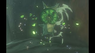 Korok seeds  Hebra Great Skeleton  Hebra Tower 53  Zelda BOTW [upl. by Nosredneh]