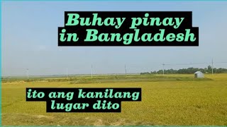 umuwi kami ng probinsya at ito ang nadaanan namin bangladeshlife bangladesh buhaypinaybangladesh [upl. by Maryanne822]