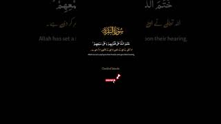 Surah al Baqarah Ki Tilawat Islamic Video Black Screen shortvideo viralvideo blackscreenstatus [upl. by Corena220]