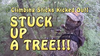 Stuck Up a Tree Climbing Sticks kicked out [upl. by Einaej]