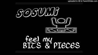 Sosumi  Feel My Bits And Pieces [upl. by Malek]