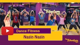 Nagin Dance I Dance Fitness  Trihedron  Bajatey Raho I [upl. by Rodie963]