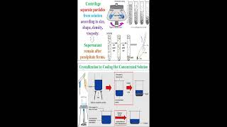 Separation Particles by Centrifugation and Crystallization geneticteacher [upl. by Llenaj]