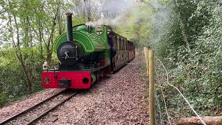 Mr Hallworth running at the Perrygrove Railway Adventure with 2 tone whistle 140424 [upl. by Sanborn]