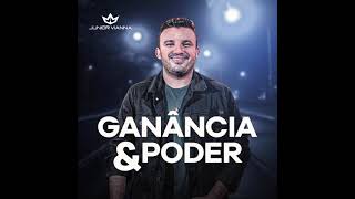 JÚNIOR VIANNA  GANÂNCIA E PODER [upl. by Annibo746]