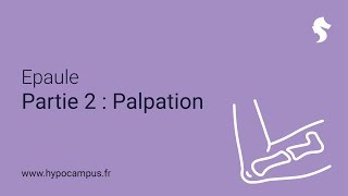 Epaule  Partie 2  Palpation [upl. by Rosetta981]