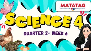 SCIENCE 4 Quarter 2 Week 6 Life Cycle of Different Organisms MATATAG Curriculum [upl. by Klos]