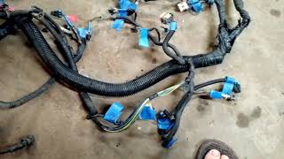 Budget LS Swap standalone wiring harness part 1 [upl. by Nilkcaj]