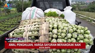 AWAL PENGHUJAN HARGA SAYURAN MERANGKAK NAIK  ATV MALANG RAYA [upl. by Kilby]