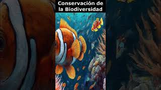 🌿Conservación de la Biodiversidad🌎 [upl. by Connolly]