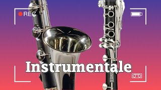 Tallava Instrumental Live Alegro BEST Jeta Nishtulla [upl. by Nosral639]