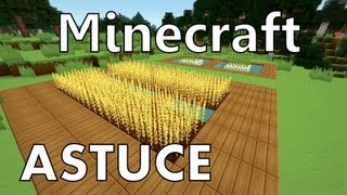 Minecraft  Tout savoir sur lAgriculture [upl. by Calysta]