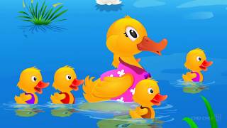 Cinq Canetons Five Little Ducks  ChuChu TV Comptines et Chansons pour Enfants [upl. by Aihsiyt]