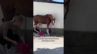 💩🙊💧 equestrian horse horses pony pferde cheval hest trending funny [upl. by Mireille]