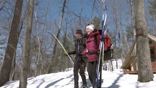 Crosscountry skiing in Gatineau Park [upl. by Nunciata]