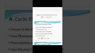 PhotosynthesislLight Reaction71lCyclic and Non cyclic Photophosphorylation ‎botanysolution4054 [upl. by Ettenot]