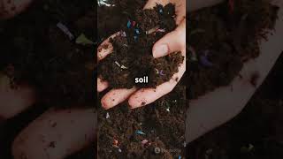 How to Tell If Your Soil is Killing Your Plants Simple DIY Tests [upl. by Adnuahsar]