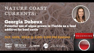 Potential use of algae grown in Florida as a feed additive for beef cattle with Dr Georgia Dubeux [upl. by Refinaj]