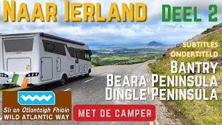 Part 2 van de WILD ATLANTIC WAY Beara en Dingle We rijden over de HEALY PASS en SLEA HEAD DRIVE [upl. by Aniratak]