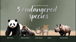 Top 5 endangered species now a days  Animals information [upl. by Nosneh763]