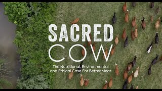 Sacred Cow Film  Official Version [upl. by Gianna537]