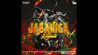 Terra D Governor X jab King JABANICA JABANICA RIDDIM 2023 [upl. by Ateuqram244]